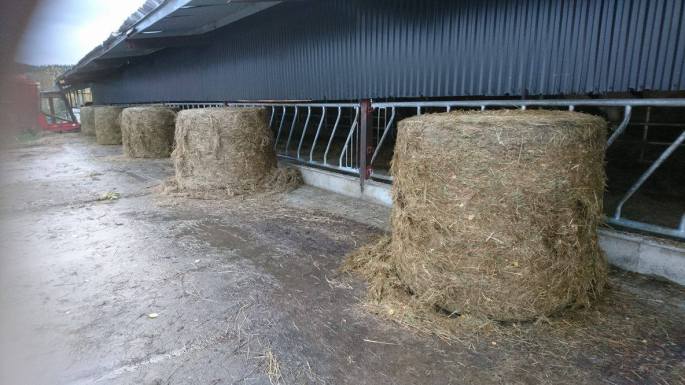 22368696_10214666342600156_1628540785_o