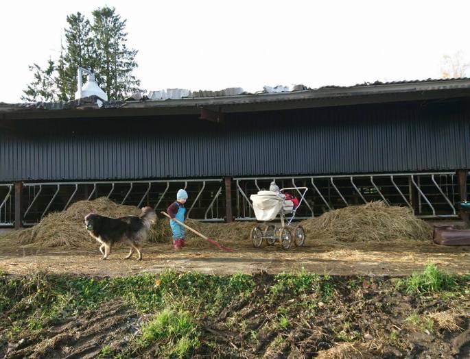 22561408_10214731823877147_38394162_o