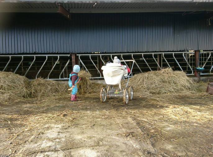 22563826_10214731823837146_391330228_o