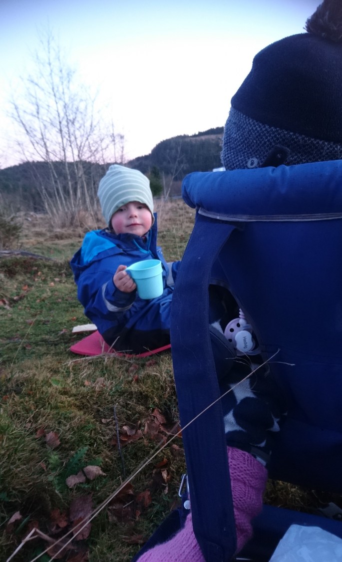 IMG_20171106_153145_913