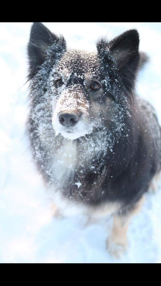 received_10212450069200043