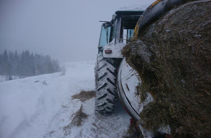 26145331_10215335819016648_351344646_o (1)