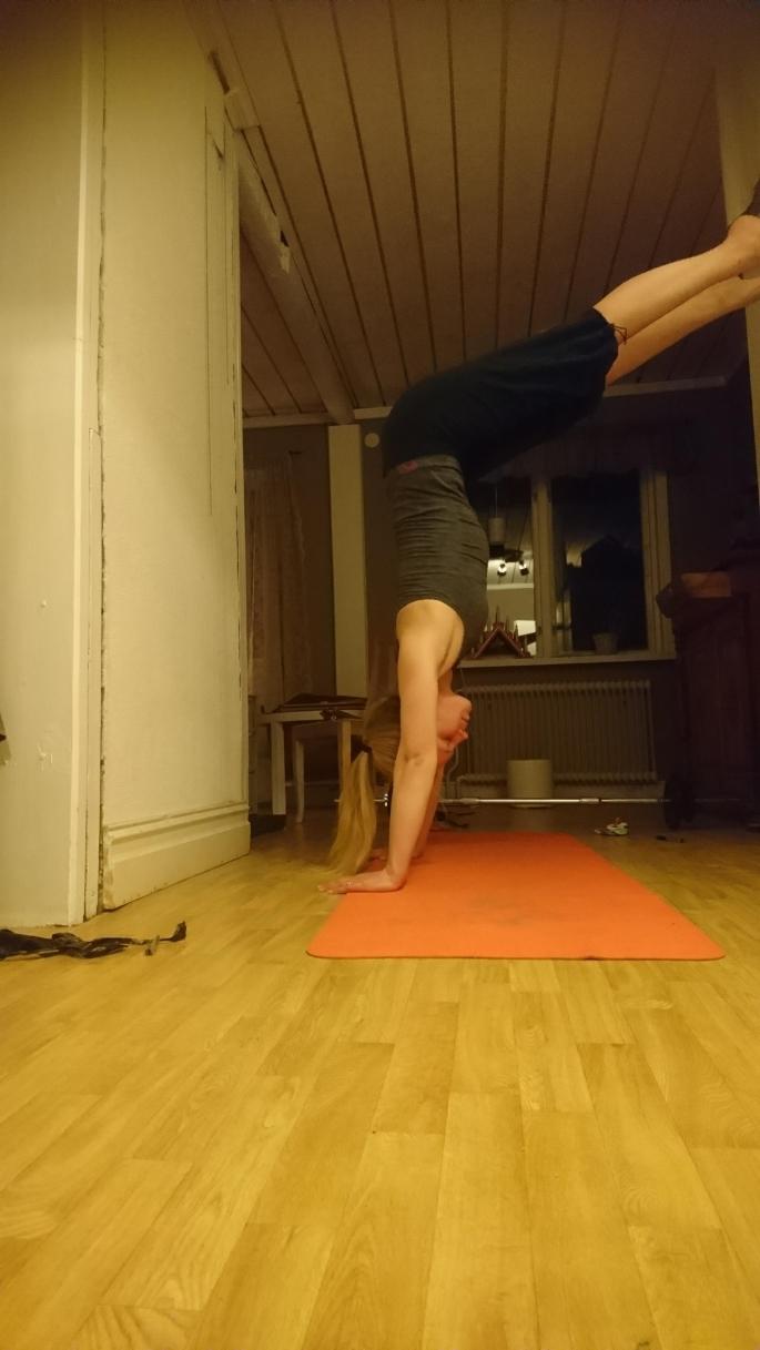 26177993_10215335817856619_824979907_o