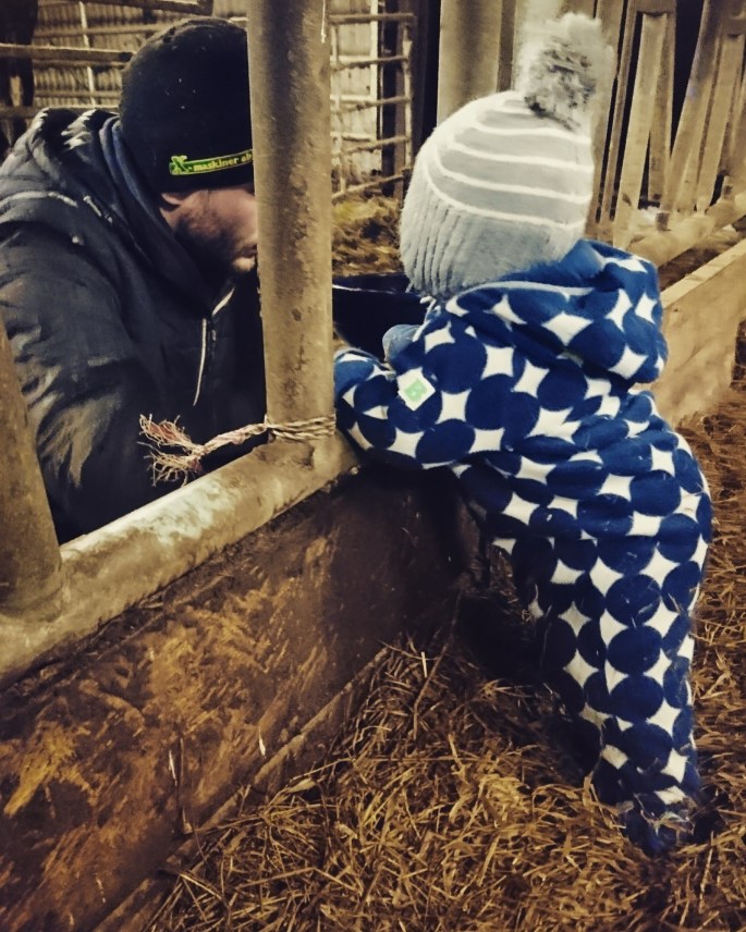 IMG_20171221_182009_739