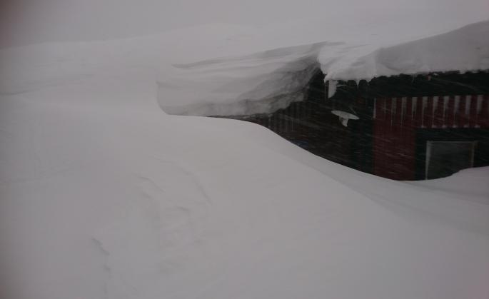 27747152_10215648009261209_321489661_o