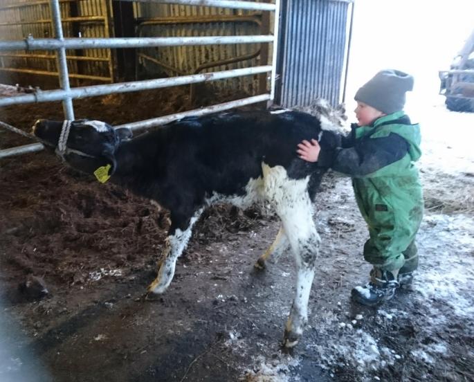 28169980_10215762244397016_506716449_o